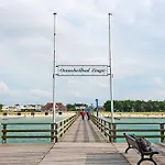 Seehund An Der Seebruecke *