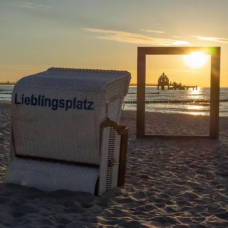 Seehund An Der Seebruecke * Zingst
