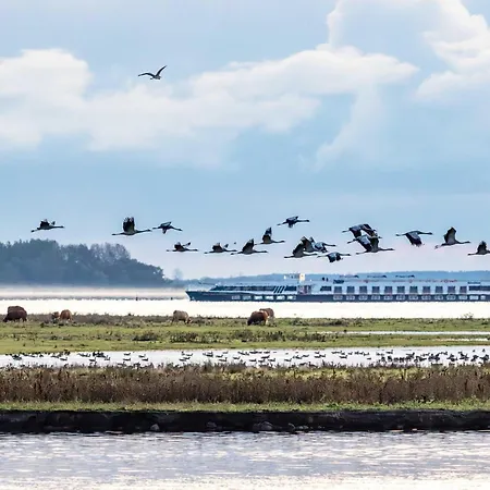 Seehund An Der Seebruecke Apartman *