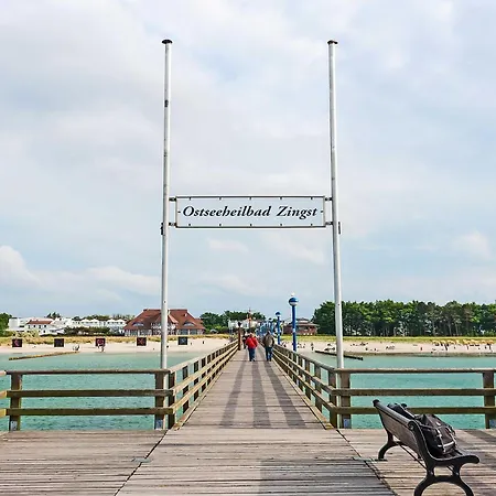 Seehund An Der Seebruecke *