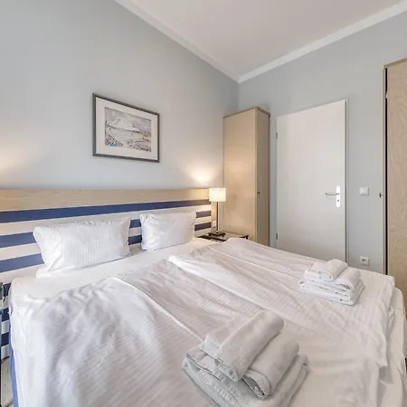 Seehund An Der Seebruecke Zingst